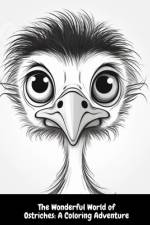 The Wonderful World of Ostriches af Illia Sid