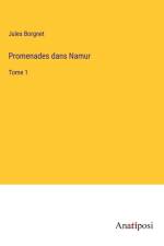 Promenades dans Namur af Jules Borgnet