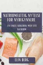 Natriumfattig Nytelse for Nybegynnere af Elin Berg
