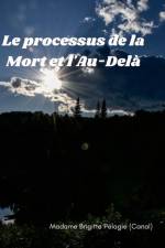 LE PROCESSUS DE LA MORT ET L'AU-DELÀ (couverture rigide) af Madame Brigitte Pélagie