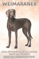 Weimaraner af Michelle Hawkins