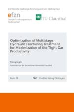 Optimization of Multistage Hydraulic Fracturing Treatment for Maximization of the Tight Gas Productivity (Band 58) af Mengting Li