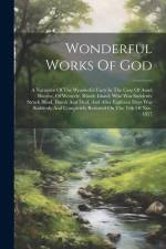 Wonderful Works Of God: A Narrative Of The Wonderful Facts In The Case Of Ansel Bourne, Of Westerly, Rhode Island, Who Was Suddenly Struck Bli af Anonymous