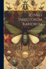 Icones Insectorum Rariorum af Carl Alexander Clerck