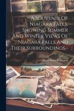 A Souvenir Of Niagara Falls, Showing Summer And Winter Views Of Niagara Falls And Their Surroundings.- af Mi James Bayne Company (Grand Rapids