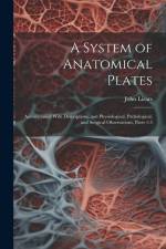 A System of Anatomical Plates: Accompanied With Descriptions, and Physiological, Pathological, and Surgical Observations, Parts 1-5 af John Lizars