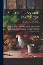Select Ferns and Lycopods: British and Exotic: Comprising Descriptions of Nine Hundred and Fifty Choice Species and Varieties, Accompanied by Dir af Benjamin Samuel Williams