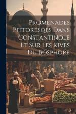 Promenades Pittoresqes Dans Constantinole Et Sur Les Rives Du Bosphore af Anonymous