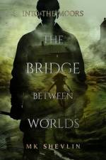 The Bridge Between Worlds af Mirren Shevlin