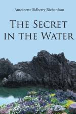 The Secret in the Water af Antoinette Sidberry Richardson