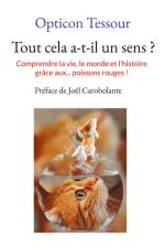 Tout cela a-t-il un sens ? af Opticon Tessour