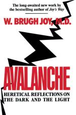 Avalanche af W. Brugh Joy