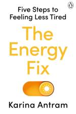 The Energy Fix af Karina Antram