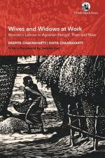 Wives and Widows at Work af Deepita Chakravarty