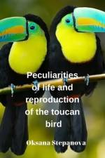 Peculiarities of life and reproduction of the toucan bird af Oksana Stepanova