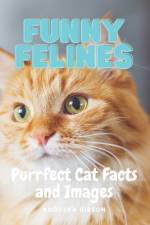 Funny Felines af Anouska Gibson