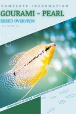 Gourami - Pearl af Iva Novitsky