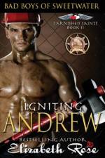 Igniting Andrew af Elizabeth Rose