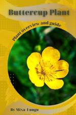 Buttercup Plant af Mixa Lungu