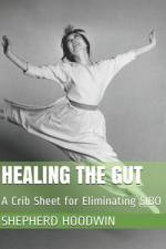 Healing the Gut af Shepherd Hoodwin