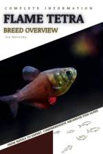 Flame Tetra af Iva Novitsky