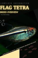 Flag Tetra af Iva Novitsky