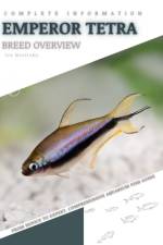 Emperor Tetra af Iva Novitsky