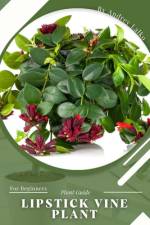 Lipstick Vine Plant af Andrey Lalko