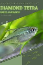 Diamond Tetra af Iva Novitsky