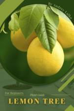 Lemon Tree af Andrey Lalko
