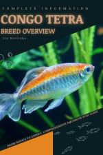 Congo Tetra af Iva Novitsky
