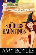 Southern Hauntings af Amy Boyles