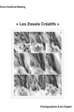Les Essais Creatifs af Michel Godfroid Meding