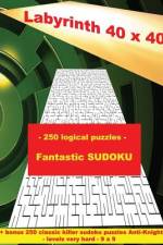 Labyrinth 40 X 40 - 250 Logical Puzzles - Fantastic Sudoku af Andrii Pitenko