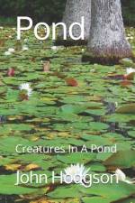 Pond af John Hodgson