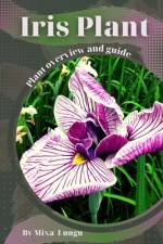 Iris Plant af Mixa Lungu