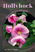 Hollyhock af Mixa Lungu