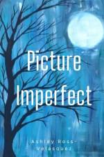 Picture Imperfect af Ashley Ross-Velasquez