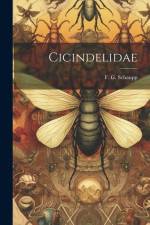 Cicindelidae af F. G. Schaupp