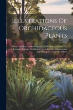 Illustrations Of Orchidaceous Plants: A Series Of One Hundred Figures, Chiefly Selected From The Botanical Register And British Flower Garden, Represe af Anonymous