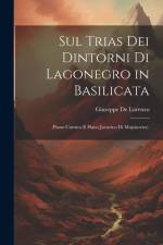 Sul Trias Dei Dintorni Di Lagonegro in Basilicata: (Piano Carnico E Piano Juvavico Di Mojsisovics). af Giuseppe de Lorenzo