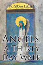 Angels, A Thirty Day Walk af Gilbert Leidig M. D. Jr.
