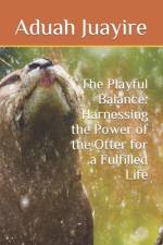 The Playful Balance af Aduah Juayire