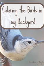 Coloring the Birds in my Backyard af Mary Taylor