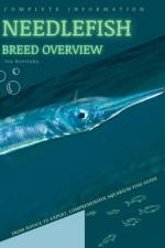 Needlefish af Iva Novitsky