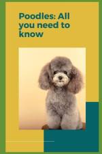 Poodles af Paul Fink