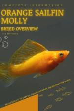 Orange Sailfin Molly af Iva Novitsky
