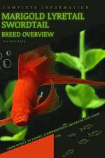 Marigold Lyretail Swordtail af Iva Novitsky