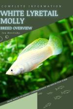 White Lyretail Molly af Iva Novitsky