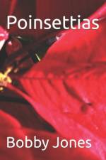 Poinsettias af Bobby J Jones